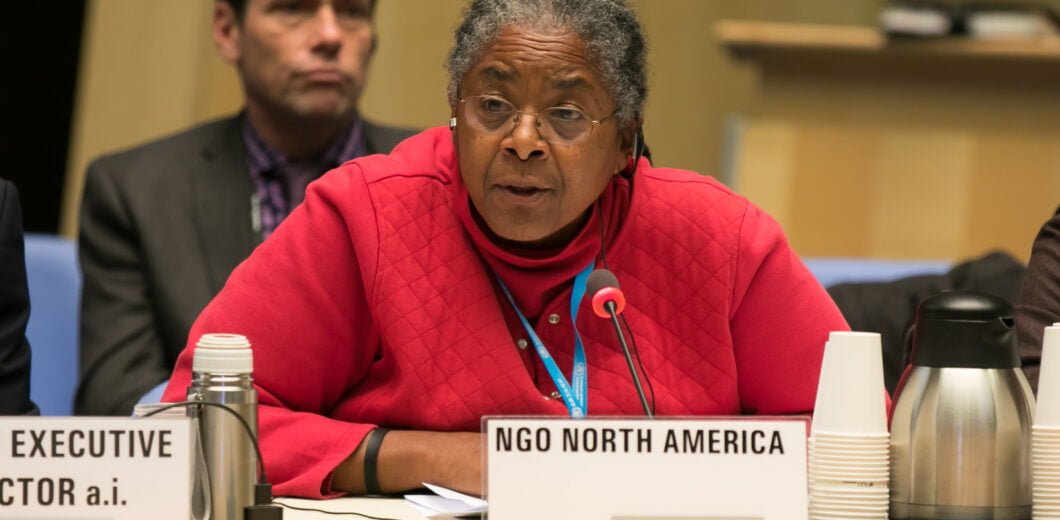 Joint working, joint review, joint challenges NGO Delegation to the