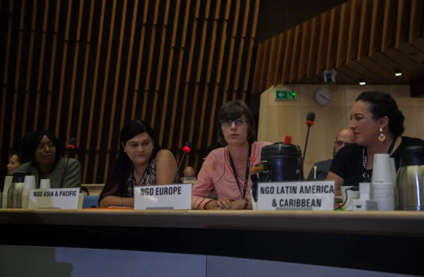 The NGO Delegation at the 38th PCB Meeting