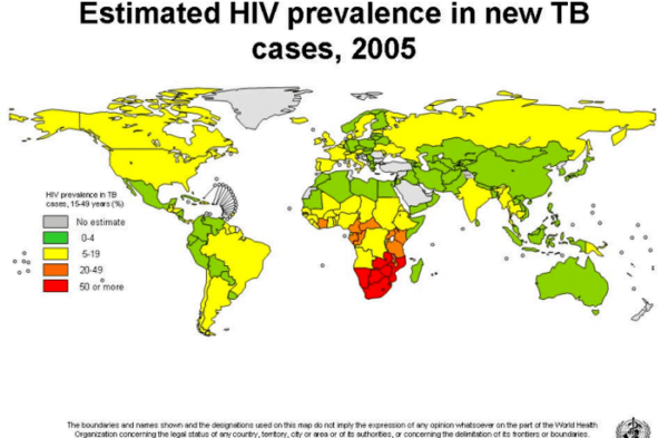 Estimated HIV prevalence in new TB cases in 2005